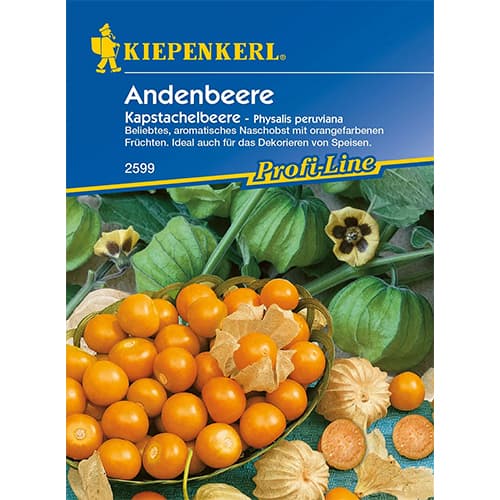 Andenbeere Kapstachelbeere interface.image 1 interface.art 86239