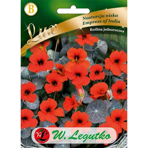 Kapuzinerkresse Empress of India dunkelrot interface.art Bild 1 Kapuzinerkresse Empress of India dunkelrot interface.image 1 interface.art 86750