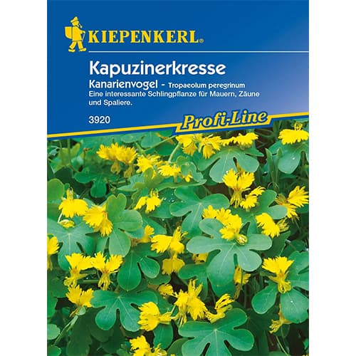 Kapuzinerkresse Kanarienvogel interface.image 1 interface.art 86274