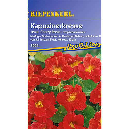 Kapuzinerkresse Jewel Cherry Rose interface.image 1 interface.art 86272