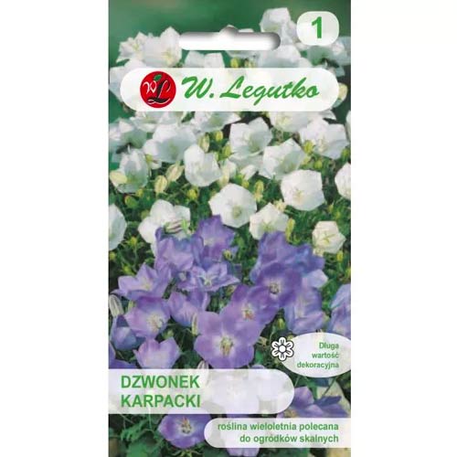 Karpatenglockenblume, Hybride Legutko interface.image 1 interface.art 50095