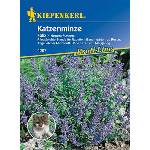 Katzenminze Felix interface.art Bild 1 Katzenminze Felix interface.image 1 interface.art 96548