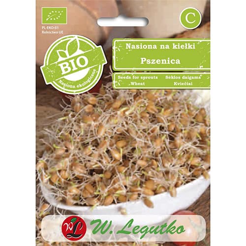 Keimsprossen - Weizen interface.art Bild 1 Keimsprossen - Weizen interface.image 1 interface.art 86683