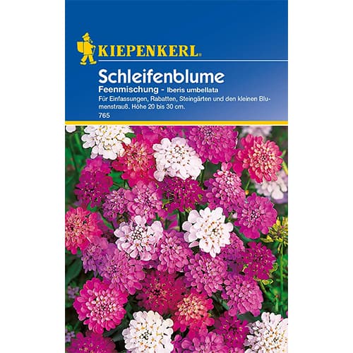 Schleifenblume Iberis Feenmischung interface.image 1 interface.art 77419