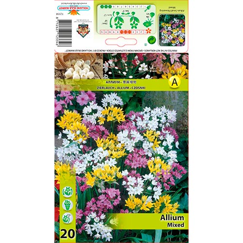 Allium, farbmischung interface.image 1 interface.art 67298