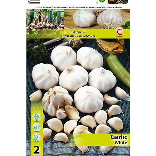 Weißer knoblauch interface.image 1 interface.art 70500