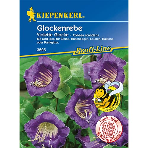 Glockenrebe Violette Glocke interface.art Bild 1 Glockenrebe Violette Glocke interface.image 1 interface.art 86266