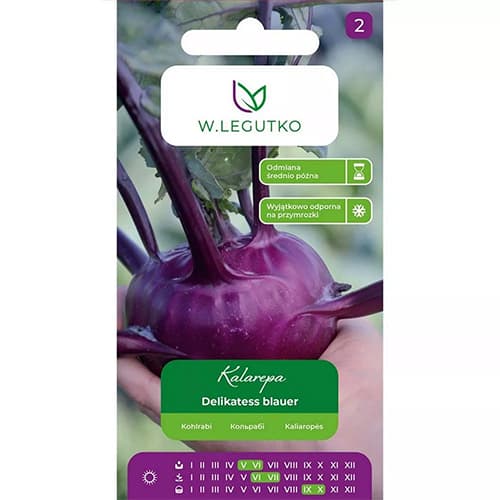 Kohlrabi Delikatess blauer Legutko interface.image 1 interface.art 78471