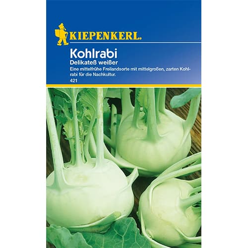 Kohlrabi Delikateß weißer interface.image 1 interface.art 87784