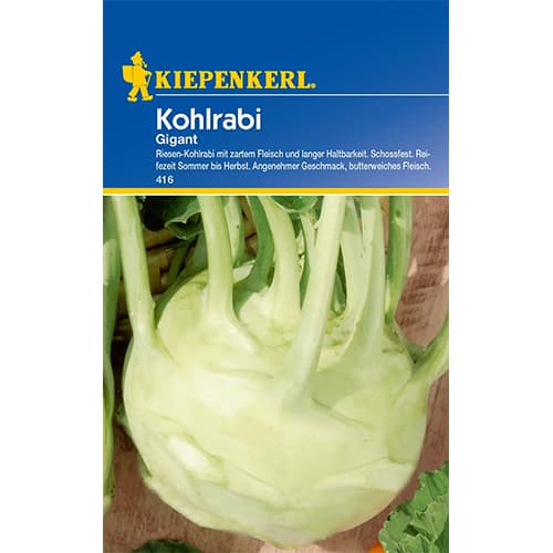 Kohlrabi Gigant Kiepenkerl interface.image 1 interface.art 86458