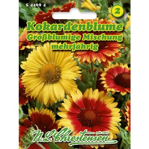 Kokardenblume Mischung Chrestensen interface.art Bild 1 Kokardenblume Mischung Chrestensen interface.image 1 interface.art 96422
