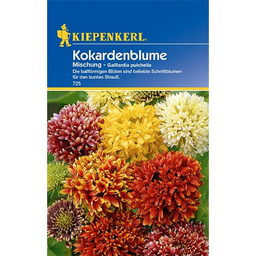 Kokardenblume Mischung interface.art Bild 1 Kokardenblume Mischung interface.image 1 interface.art 77433
