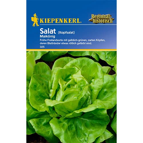 Kopfsalat Maikönig interface.image 1 interface.art 86464