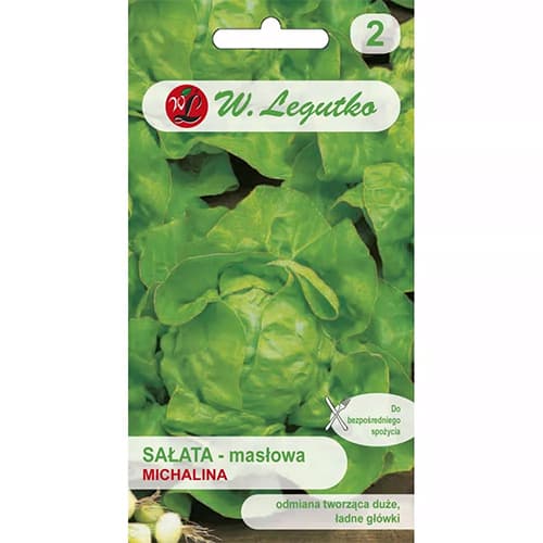 Kopfsalat Michalina interface.image 1 interface.art 86901