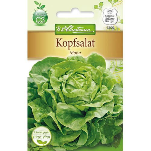 Kopfsalat Mona interface.image 1 interface.art 78771