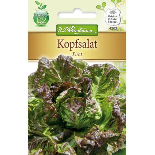 Kopfsalat Pirat interface.image 1 interface.art 78772