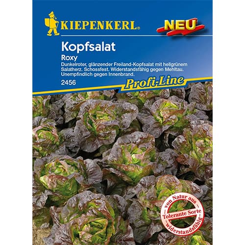 Kopfsalat Roxy interface.image 1 interface.art 96627