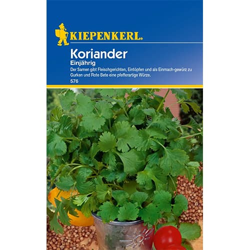 Koriander Einjährig interface.art Bild 1 Koriander Einjährig interface.image 1 interface.art 77463