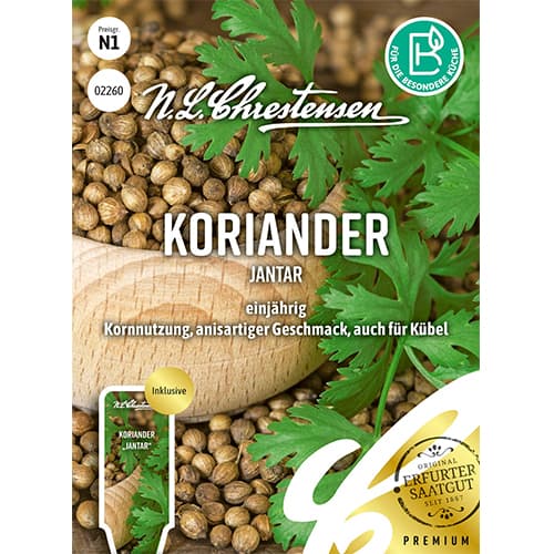 Koriander Jantar interface.art Bild 1 Koriander Jantar interface.image 1 interface.art 87843