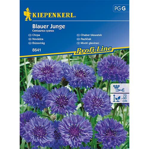 Kornblume Blauer Junge interface.image 1 interface.art 86258