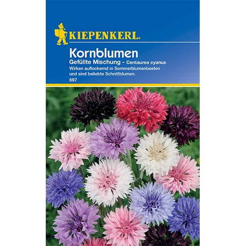 Kornblume Mischung Kiepenkerl interface.art Bild 1 Kornblume Mischung Kiepenkerl interface.image 1 interface.art 50062