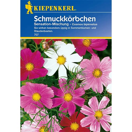 Schmuckkörbchen Sensation Mischung interface.image 1 interface.art 77400