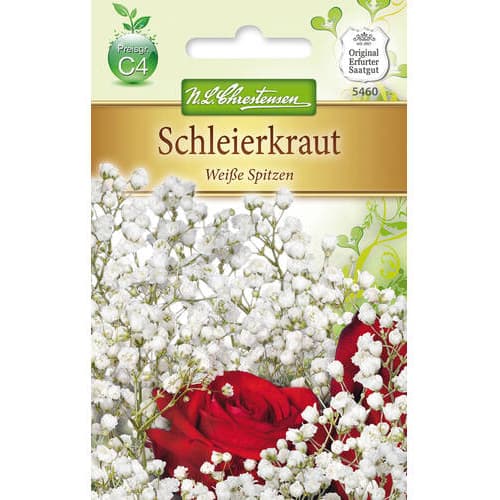 Schleierkraut Weisse Spitzen interface.art Bild 1 Schleierkraut Weisse Spitzen interface.image 1 interface.art 78974