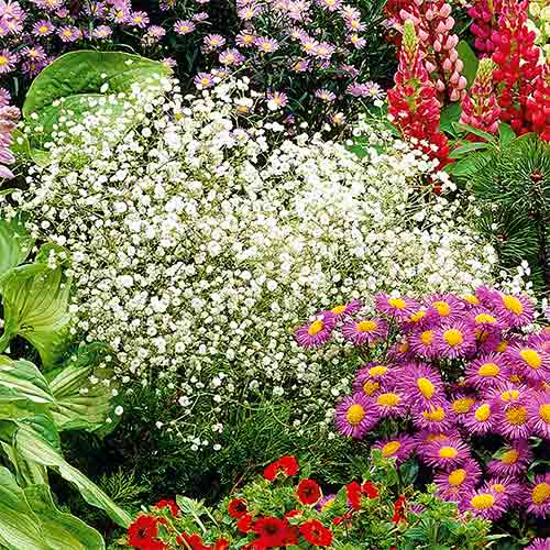 Krähenfüße Weiß interface.art Bild 1 Krähenfüße Weiß interface.image 1 interface.art 96538