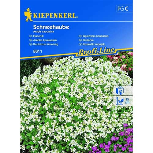 Gänsekresse Schneehaube interface.art Bild 1 Gänsekresse Schneehaube interface.image 1 interface.art 96511