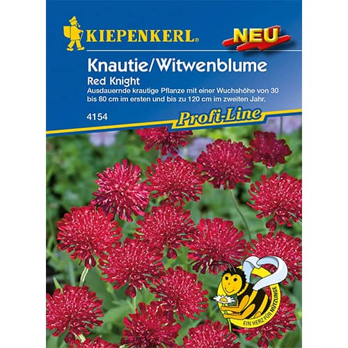 Knautie / Witwenblume Red Knight interface.art Bild 1 Knautie / Witwenblume Red Knight interface.image 1 interface.art 96551