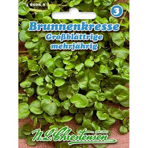 Kresse Brunenkresse Chrestensen  interface.art Bild 1 Kresse Brunenkresse Chrestensen  interface.image 1 interface.art 50041