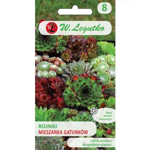 Kresse, mischung Legutko interface.art Bild 1 Kresse, mischung Legutko interface.image 1 interface.art 50117