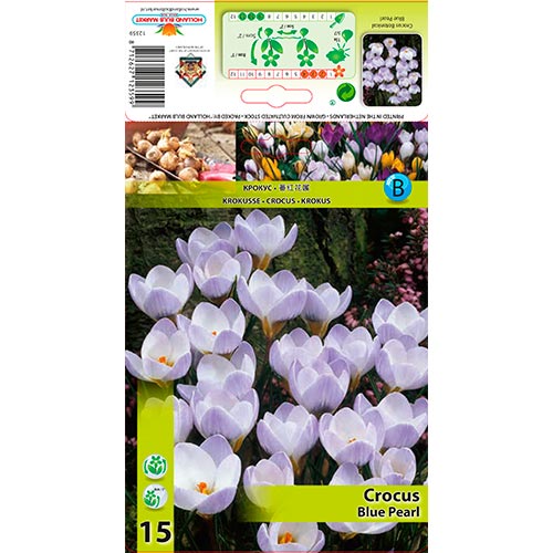 Krokus Blue Pearl interface.image 1 interface.art 67327