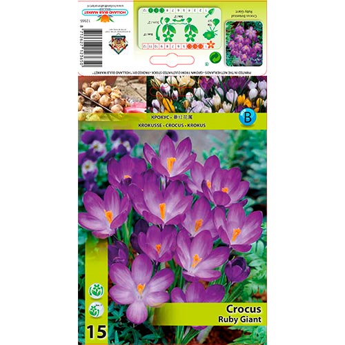 Krokus Ruby Giant interface.image 1 interface.art 67338