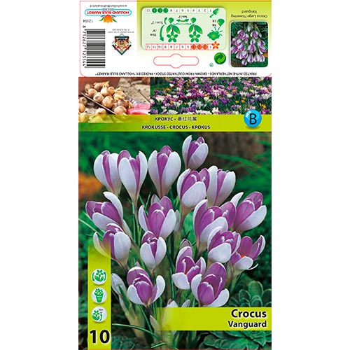 Krokus Vanguard interface.image 1 interface.art 67343