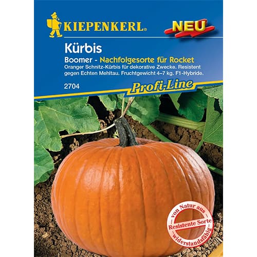 Kürbis Boomer F1 interface.image 1 interface.art 87786