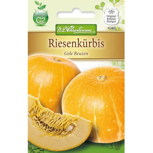 Kürbis Gele Reuzen interface.image 1 interface.art 78795