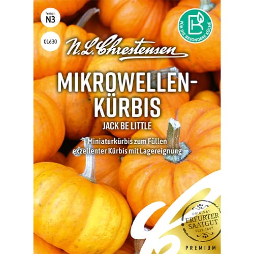 Kürbis Jack Be Little interface.image 1 interface.art 86060