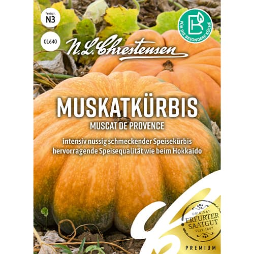 Kürbis Muscat de Provence interface.image 1 interface.art 86071