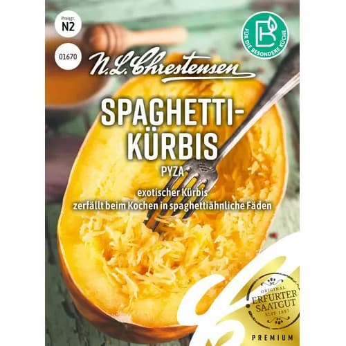 Kürbis Pyza interface.image 1 interface.art 96495