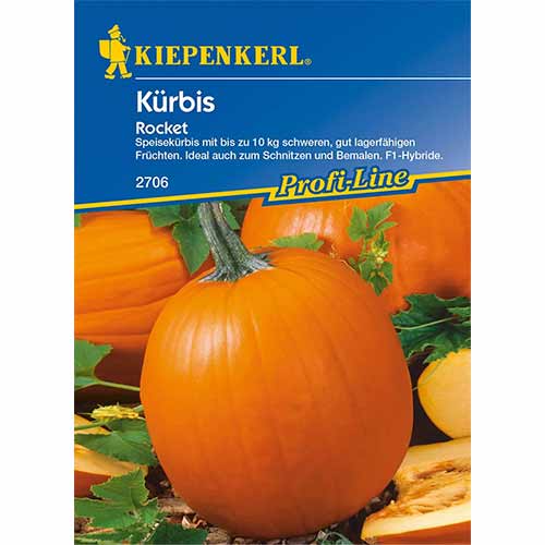 Kürbis Rocket F1 interface.art Bild 1 Kürbis Rocket F1 interface.image 1 interface.art 96629