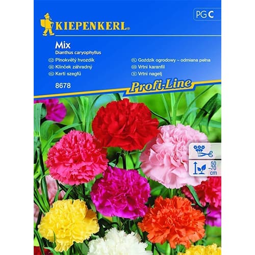 Landnelke Gefüllte Mischung interface.art Bild 1 Landnelke Gefüllte Mischung interface.image 1 interface.art 96527