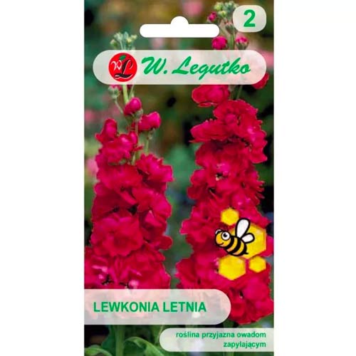 Levkoje Excelsior rot Legutko interface.art Bild 1 Levkoje Excelsior rot Legutko interface.image 1 interface.art 96751