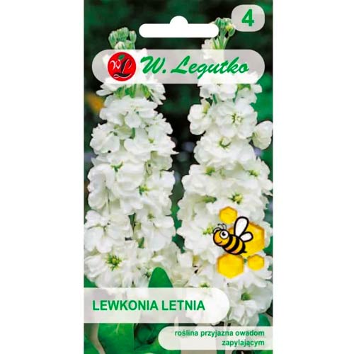 Levkoje Excelsior weiß Legutko interface.image 1 interface.art 87078