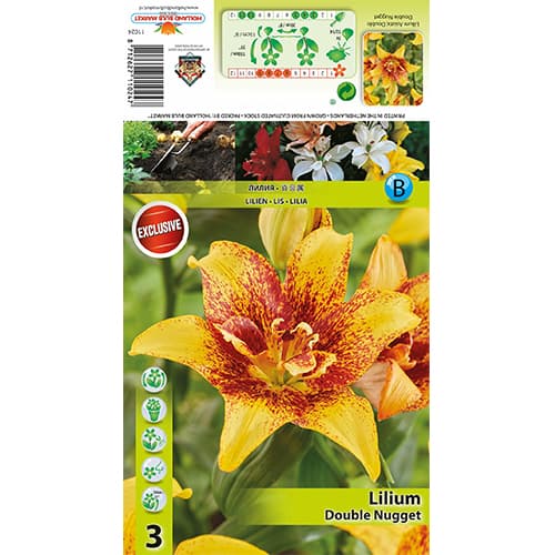 Lilie Double Nugget interface.art Bild 1 Lilie Double Nugget interface.image 1 interface.art 77820