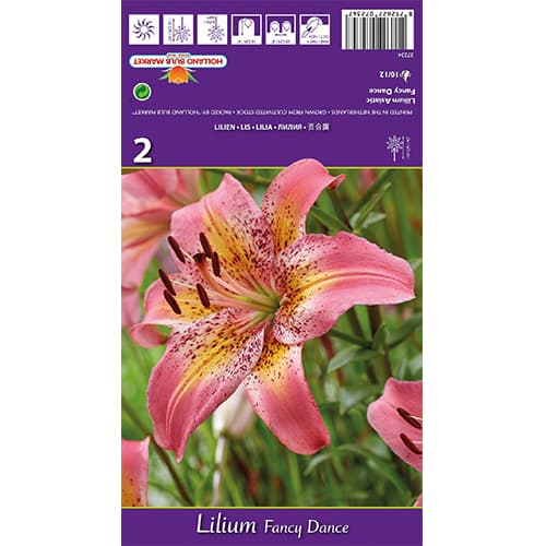 Lilie Fancy Dance interface.art Bild 1 Lilie Fancy Dance interface.image 1 interface.art 77836