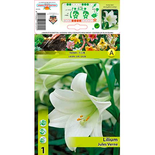 Lilie Jules Verne interface.image 1 interface.art 70432