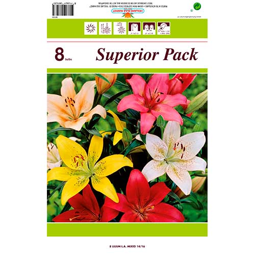 Lilie LA-Hybrid, Farbmischung interface.art Bild 1 Lilie LA-Hybrid, Farbmischung interface.image 1 interface.art 76469