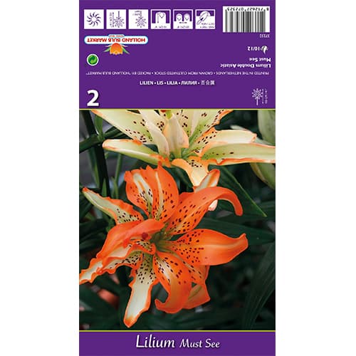 Lilie Must See interface.art Bild 1 Lilie Must See interface.image 1 interface.art 77838