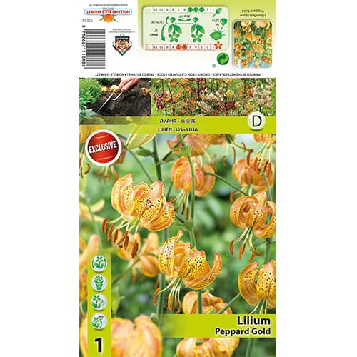 Lilie Peppart Gold interface.art Bild 1 Lilie Peppart Gold interface.image 1 interface.art 77823